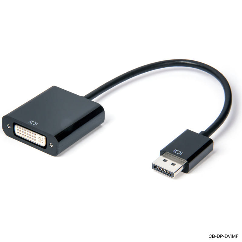 Connect 20cm DisplayPort to DVI Adapter (Male to Female)