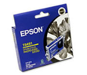 Epson T0491 Black Ink Cartridge