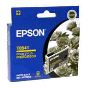 Epson T0541 Photo Black Cart For R800/R1800