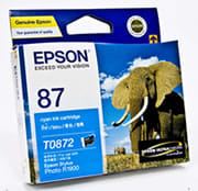 Epson 87 Cyan Ink Car For R1900