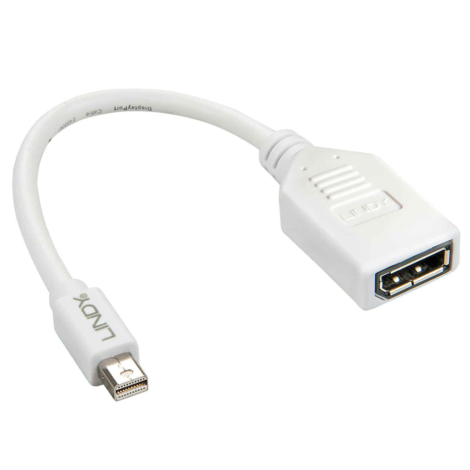 Lindy Kabel / Adapter 0.15m Mini-DP DP White