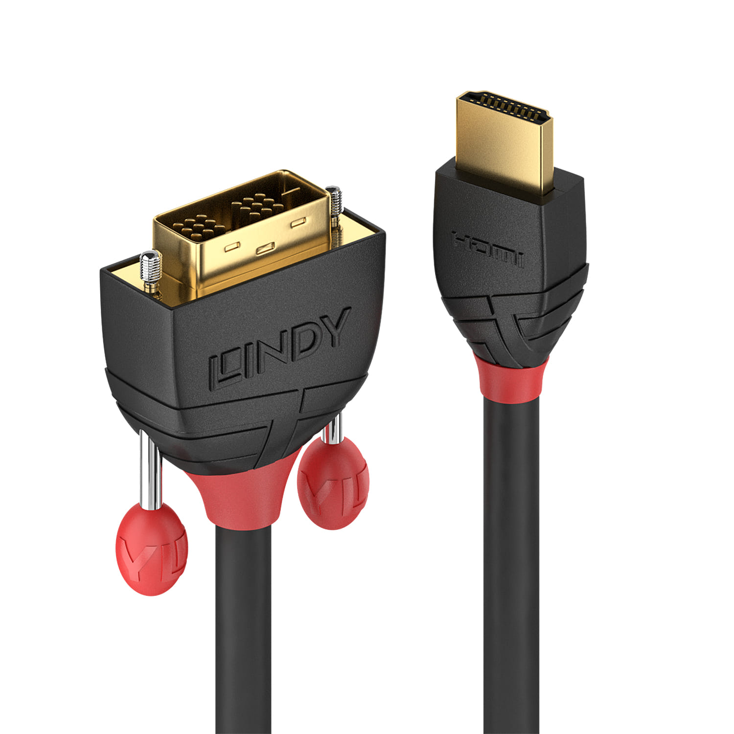 Lindy Video Cable 0.5m HDMI Type A (Standard) DVI-D Black