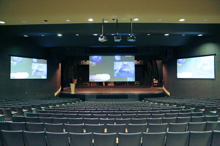 ES Vmax2 150" 16:9 Motorised Projector Screen