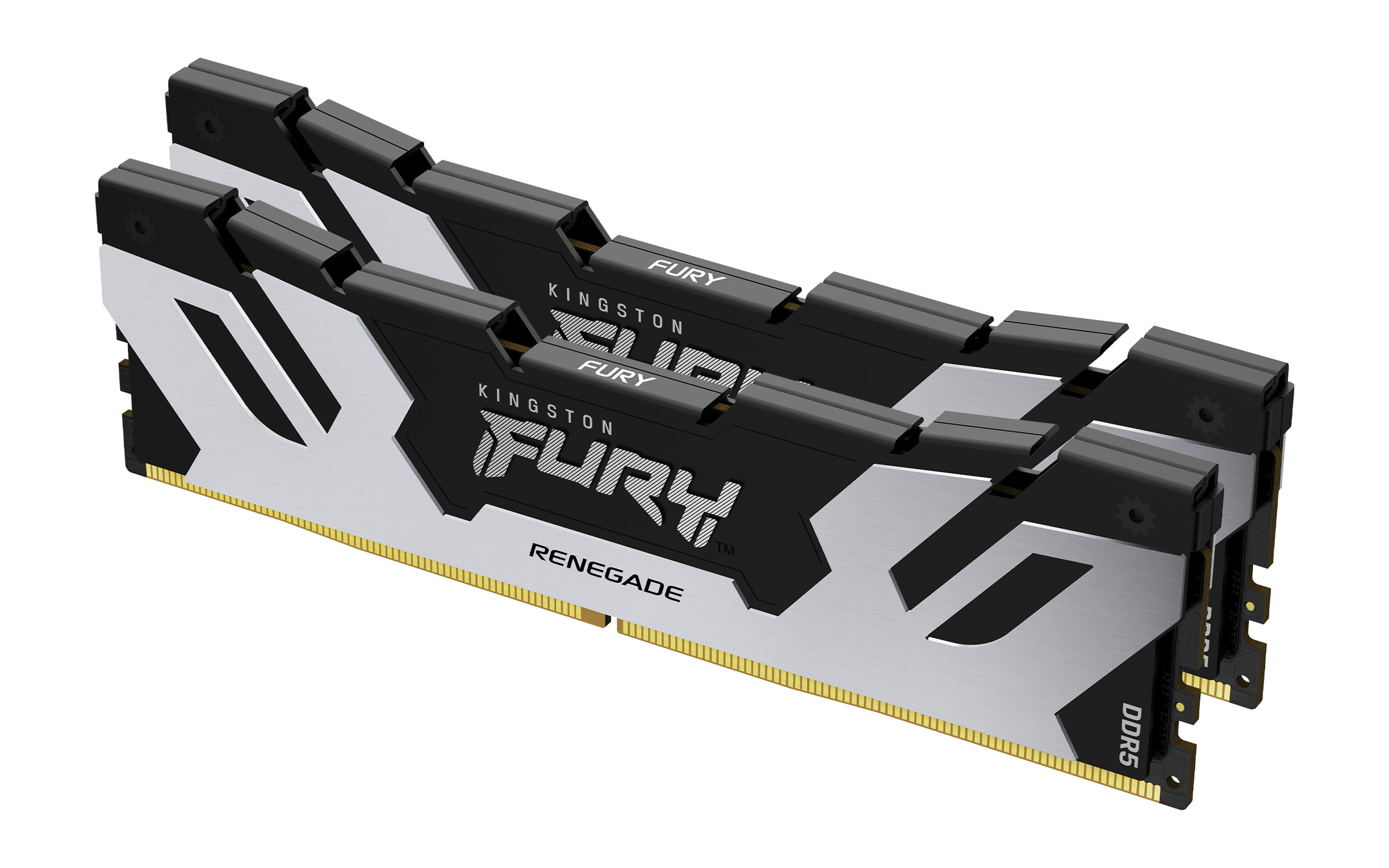 Kingston Fury Renegade Silver XMP 64GB DDR5-6400