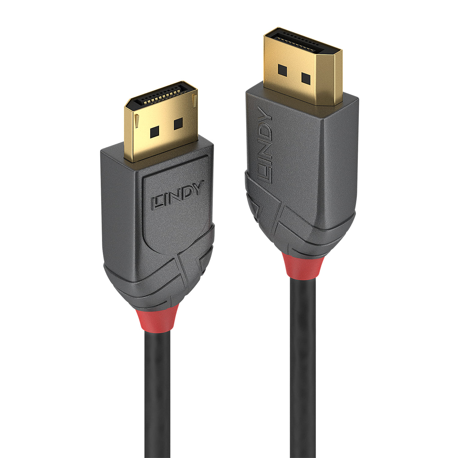 Lindy DisplayPort Cable 0.5m Black