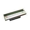 Zebra PRINTHEAD LP2844/LP2844-Z 203DPI