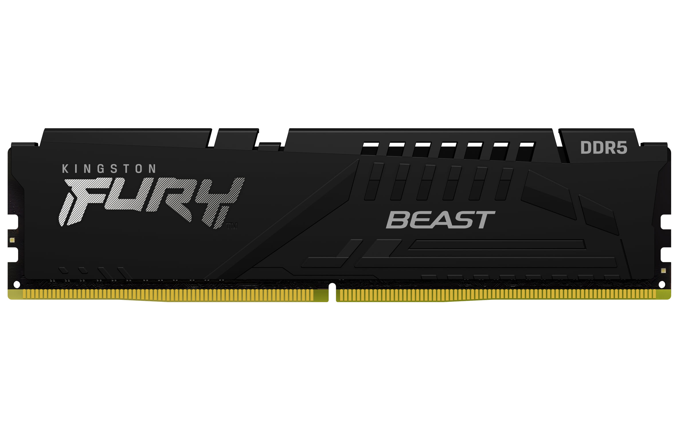 Kingston FURY Beast 16GB (1x16GB) DDR5-5600 Black