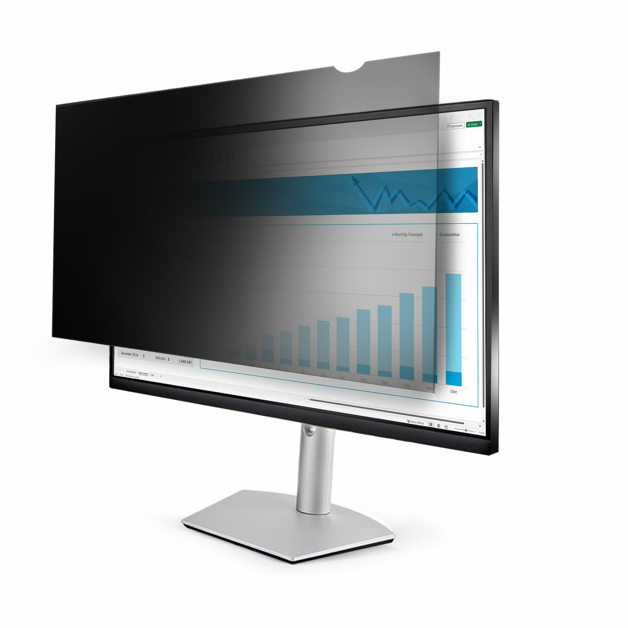 Startech 25" Computer Monitor Privacy Filter