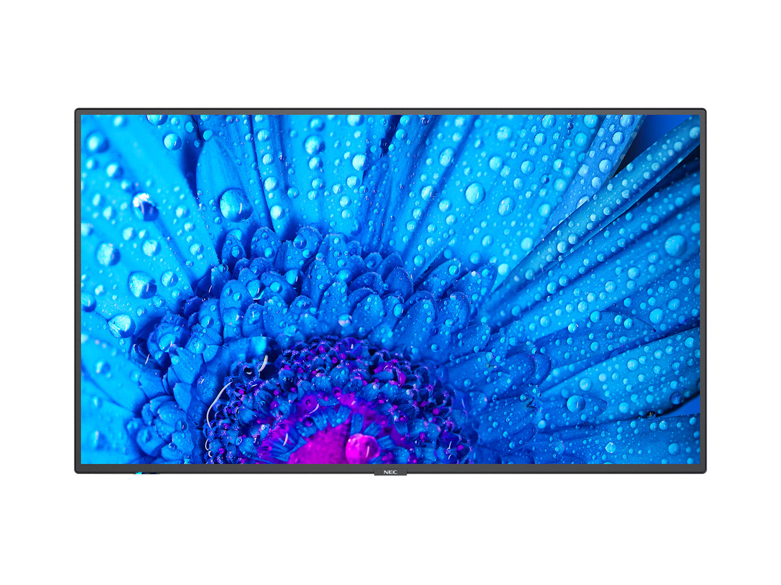 NEC M551 55" 4K Ultra High Definition Display