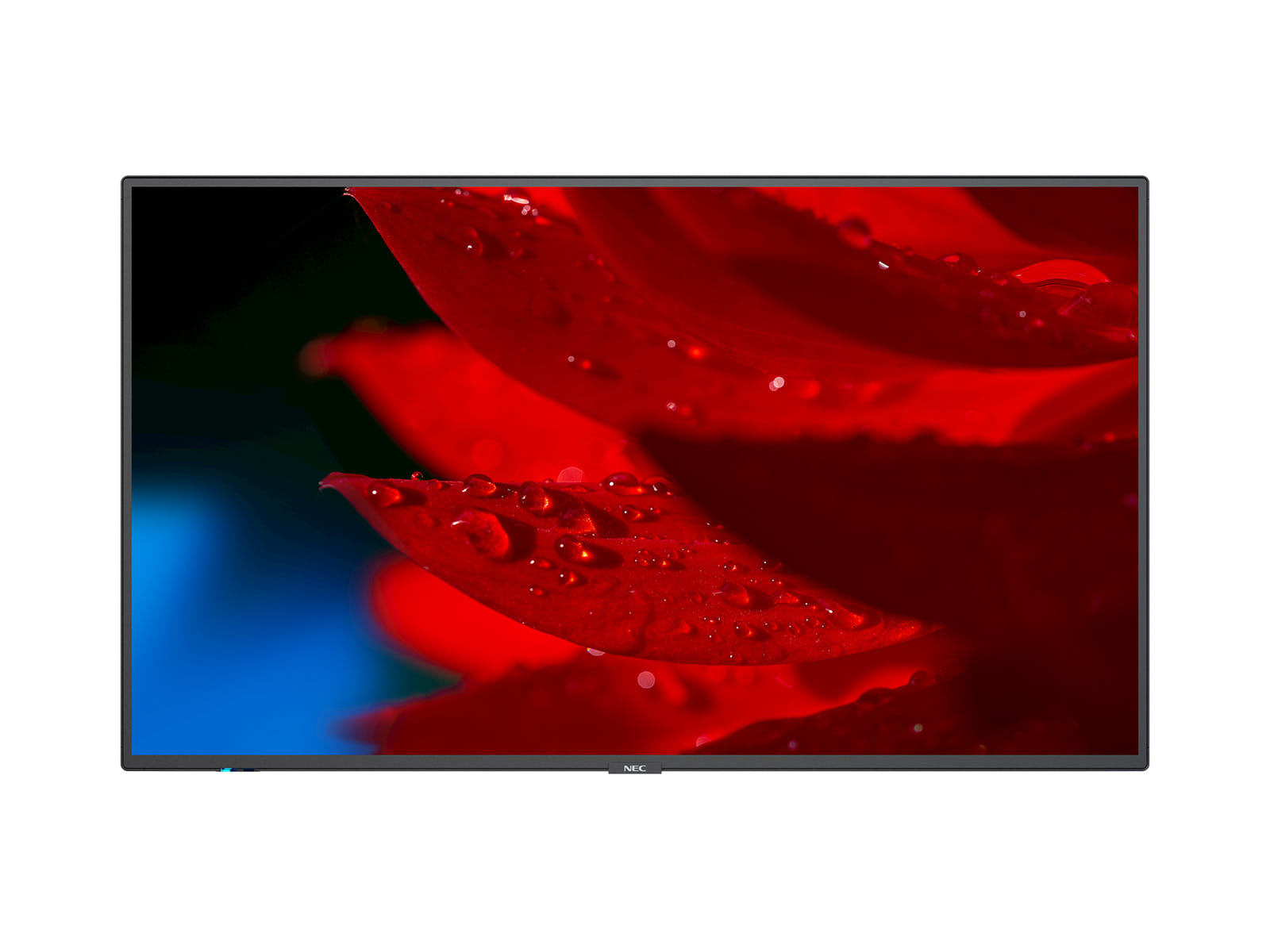 NEC 55" Wide Color Gamut 4K UHD Display