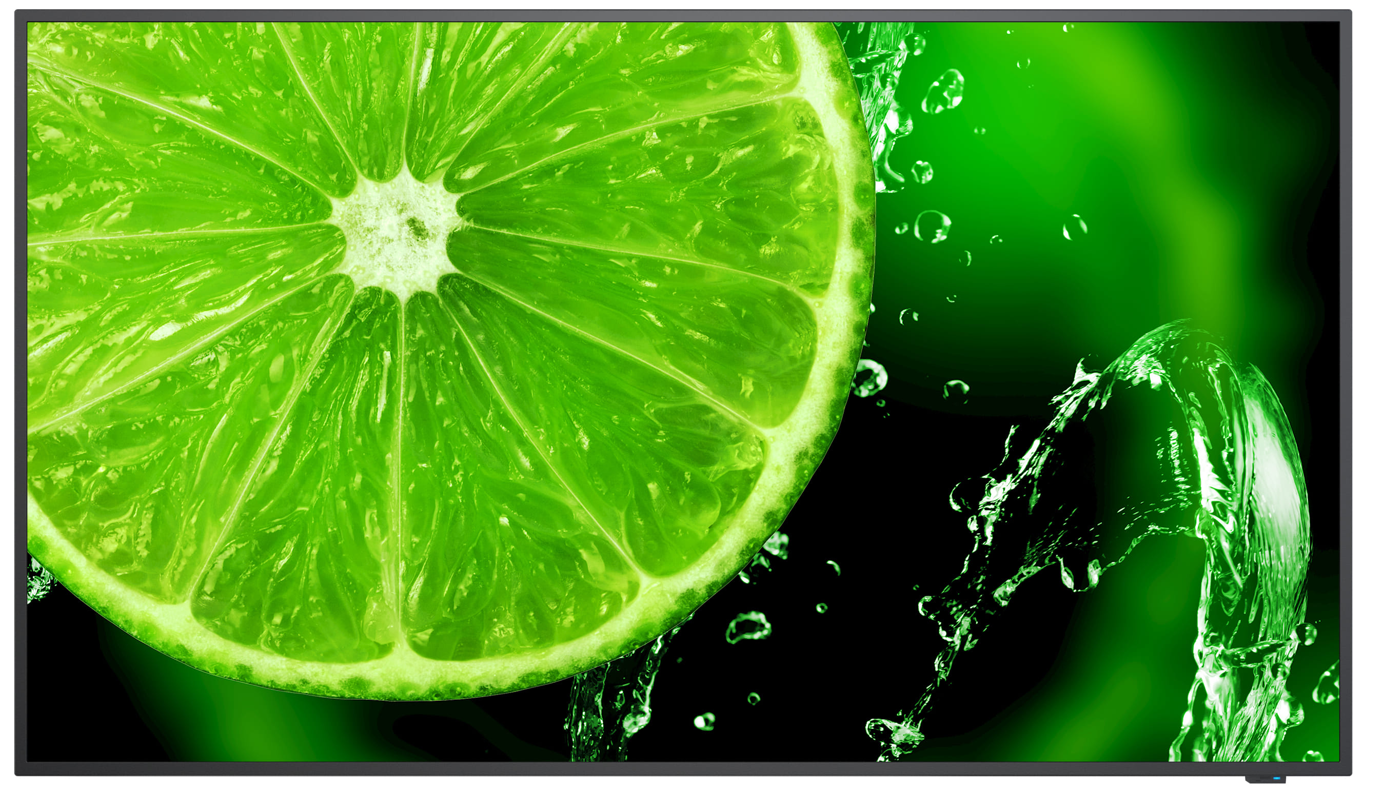 NEC 49" LCD Direct-lit 4K UHD Display