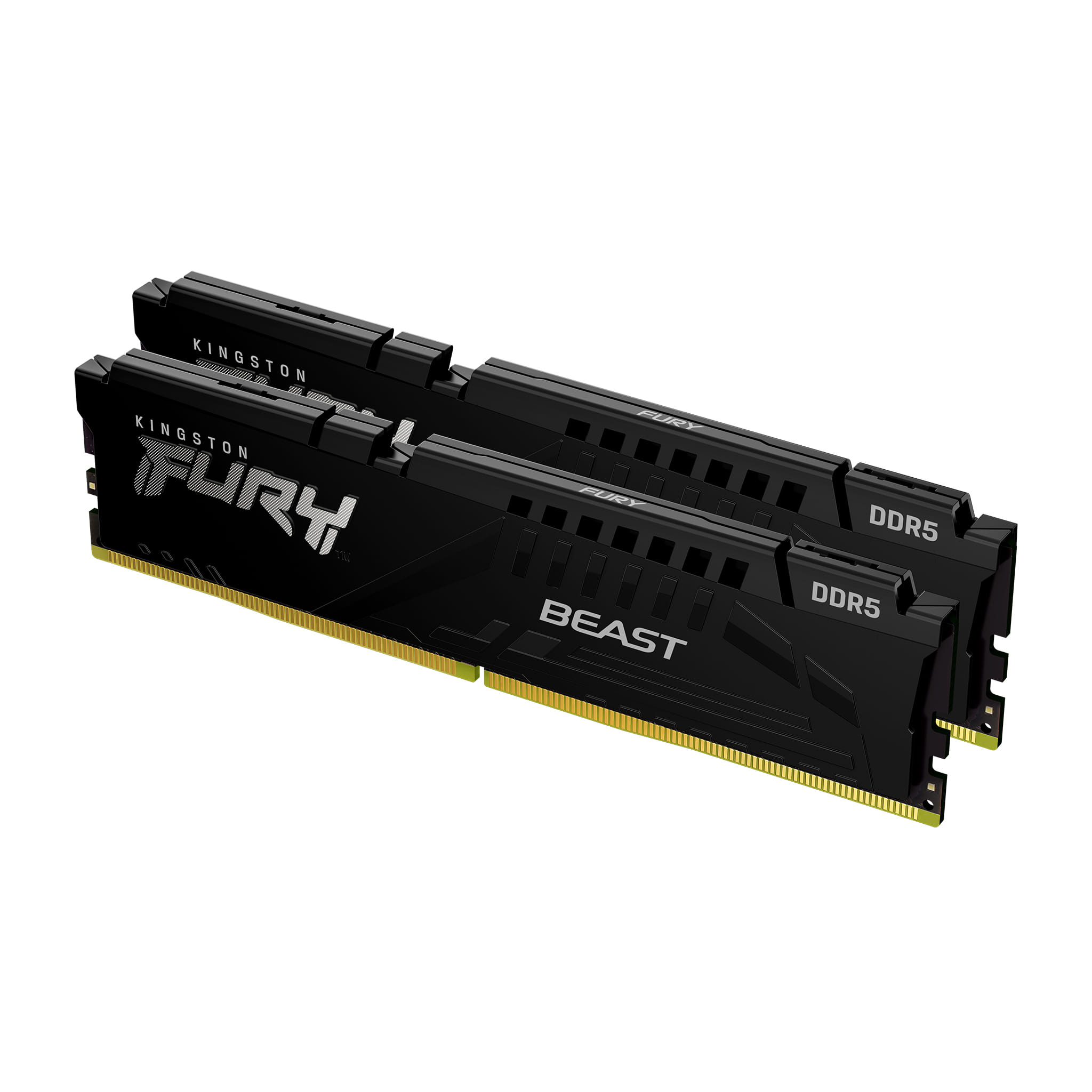 Fury Beast 16GB(2X8GB) DDR5-5200 RAM Black