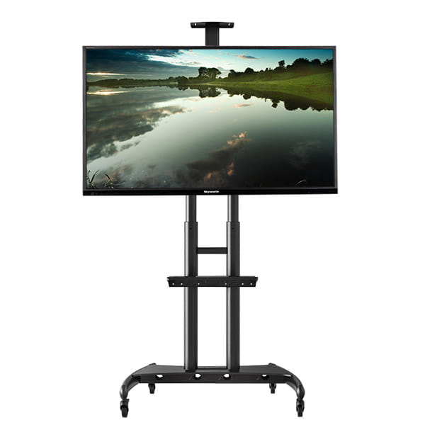 North Bayou Mobile Display Stand