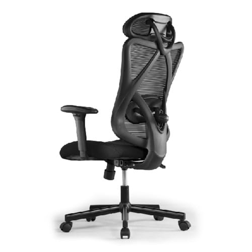 Brateck Lumbacker Ergo Office Chair Mesh Fabric