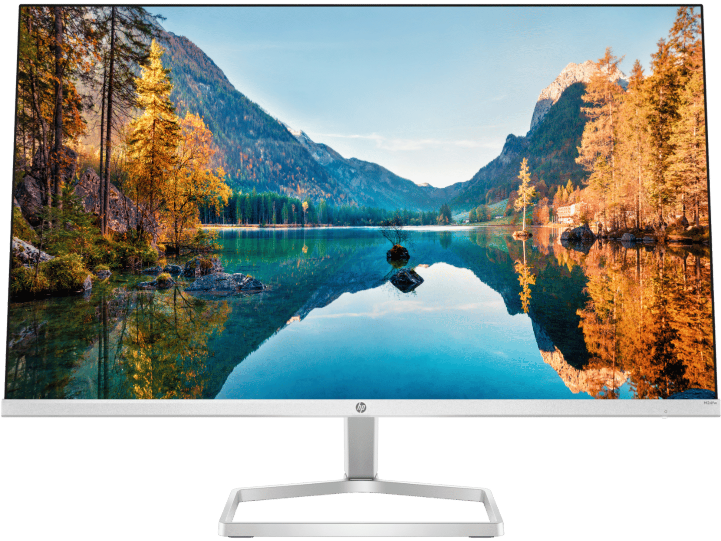 Carton Damaged HP M24fw 23.8" Full HD IPS Anti-Glare On-Screen Controls Monitor