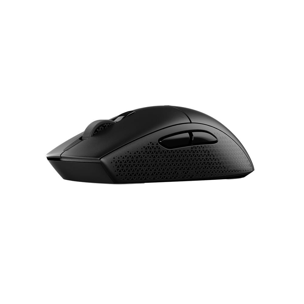 M55 WIRELESS Gaming Mouse

