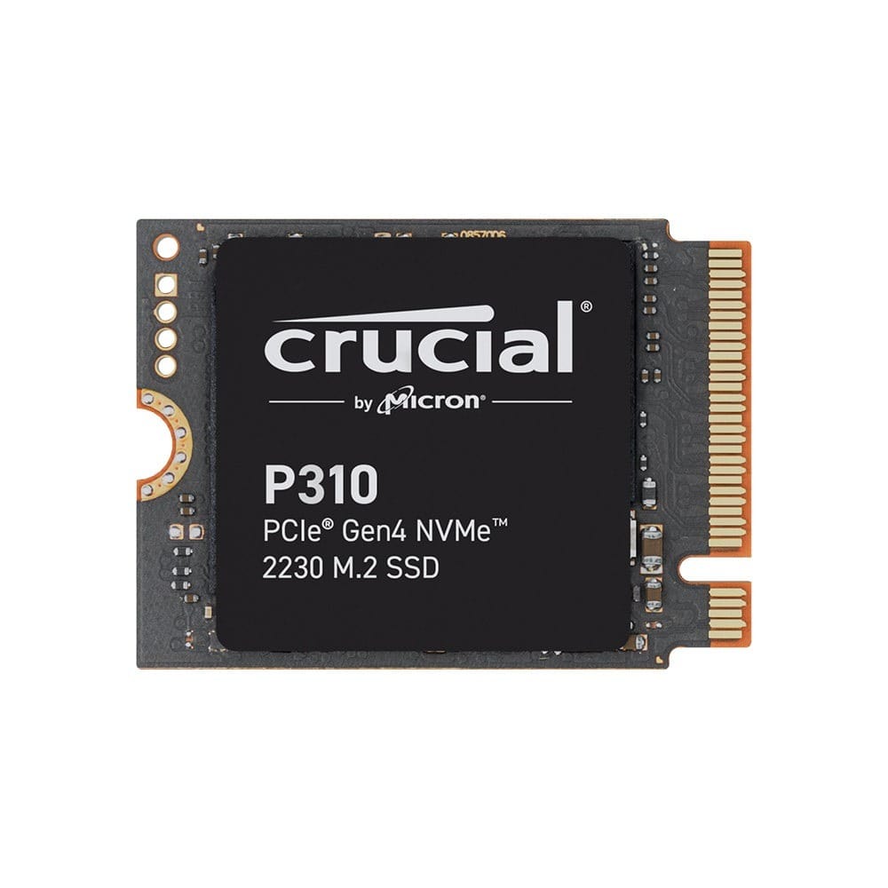 P310 1TB PCIe Gen4 NVMe 2230 M.2 SSD
