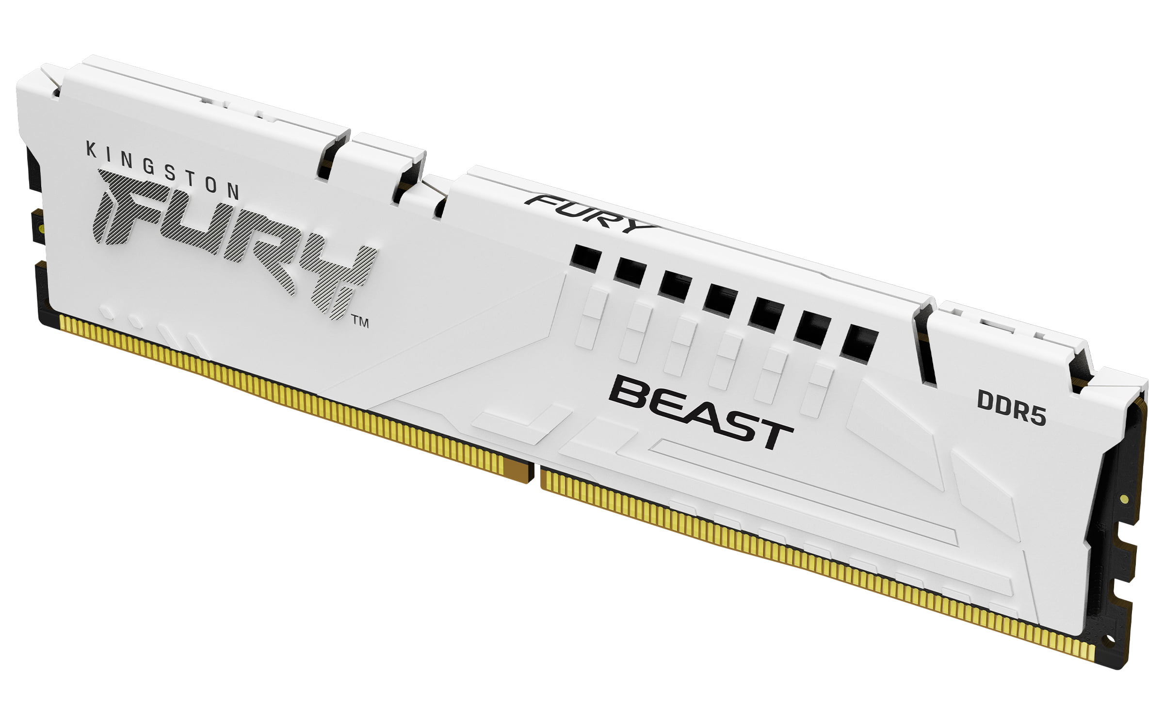 Kingston Fury Beast White 16GB DDR5-6400 RAM
