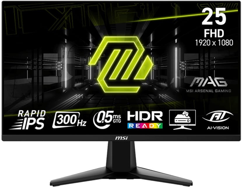 MSI MAG 255XF 24.5" FHD IPS 0.5ms 300Hz Frameless Design Monitor
