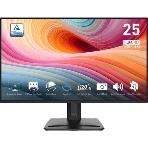 MSI PRO MP251 E2 FHD IPS 1ms 120Hz Monitor