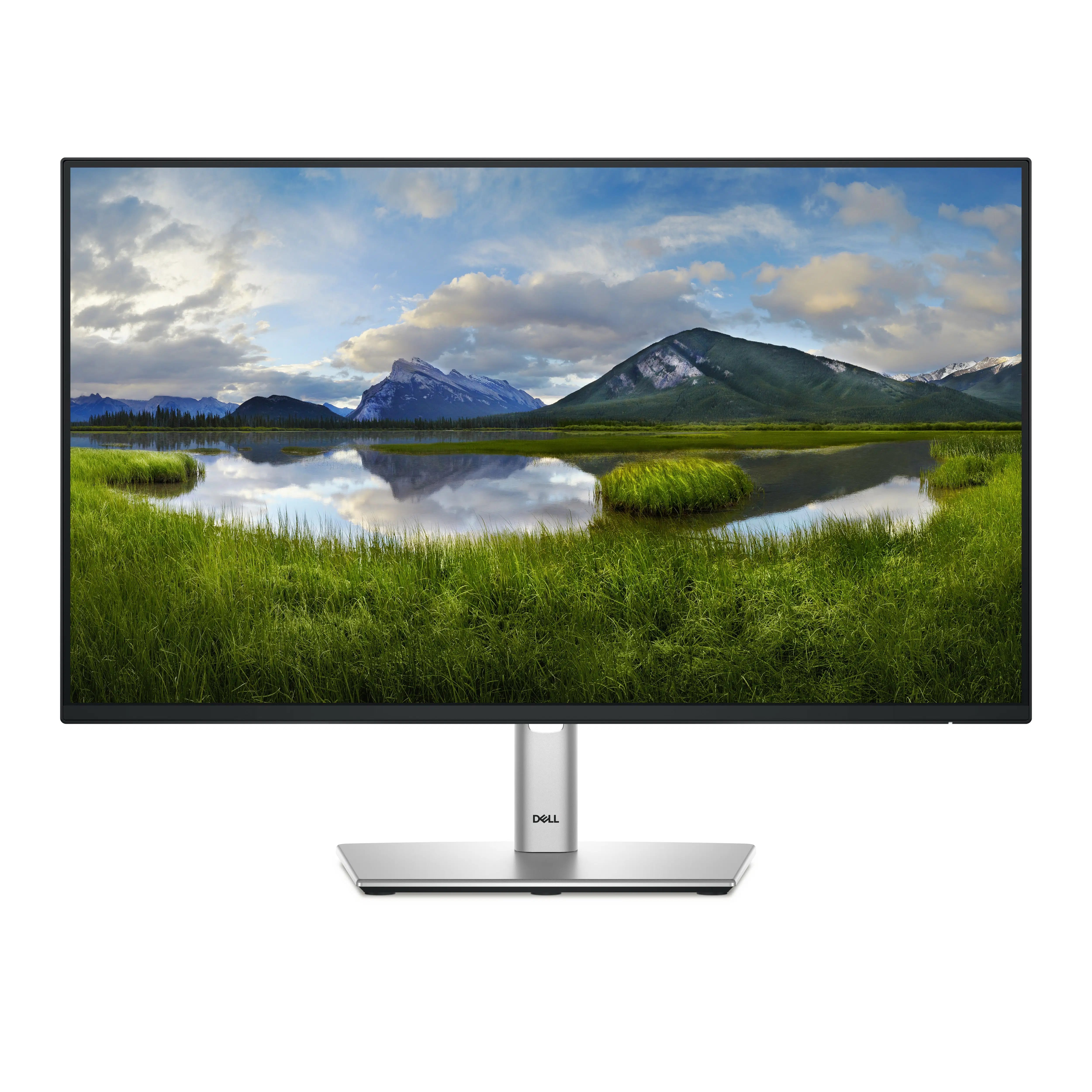 Dell P2425H 23.8" FHD IPS 100Hz USB-C Height Adjustable Monitor