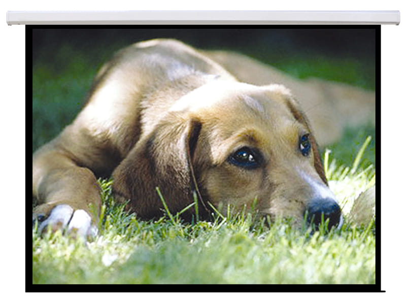 Brateck 135" (3Mx1.68M) Electric 16:9 Projector Screen（PSAA135）
