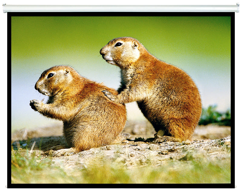 Brateck Manual Projector Screen 2.0x1.5m (4:3 ratio) Self locking（PSBC100）