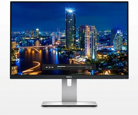 DELL U2415 24